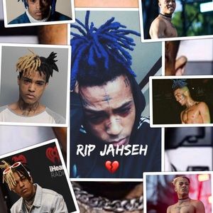 Meet your Posher, Shelby